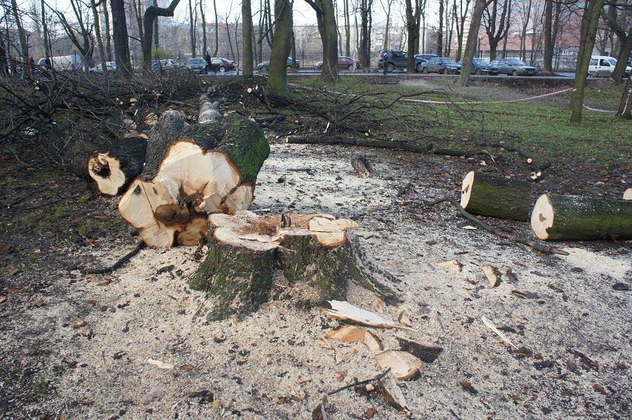 Бульдозеры начали благоустройство в сквере за Собором Христа Спасителя (+фото)