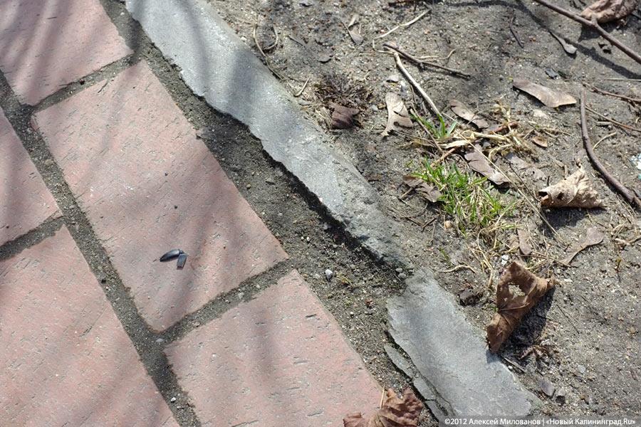 «Могила плитки»: набережная Верхнего озера после зимы