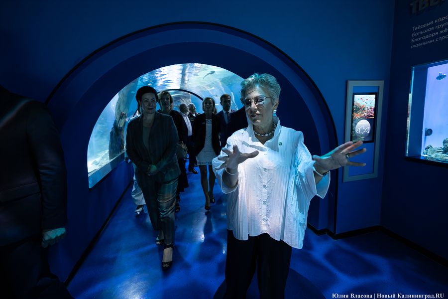 «Земля убывает»: как в Калининграде прошло официальное открытие «Планеты Океан»