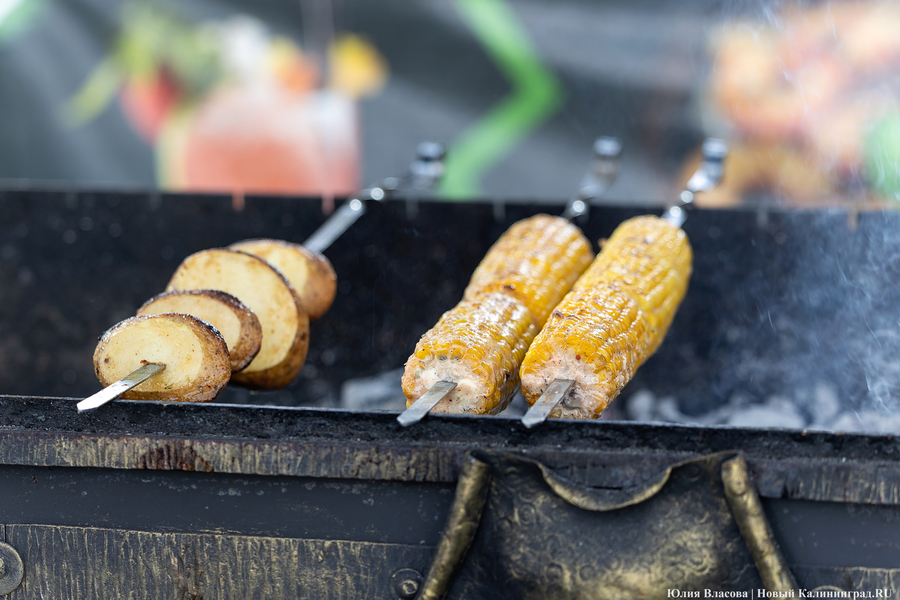 И рыба, и мясо: в Зеленоградске открылся гастрономический «Фиштиваль» (фото)