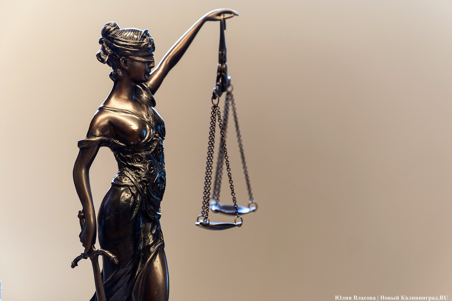 В Калининграде взыскана компенсация в пользу подростка, пострадавшего от укуса собаки