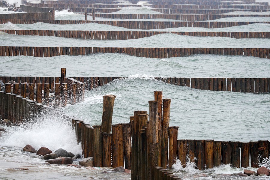 Много лиственницы и чуть песка: как выглядит светлогорский «пляж»  