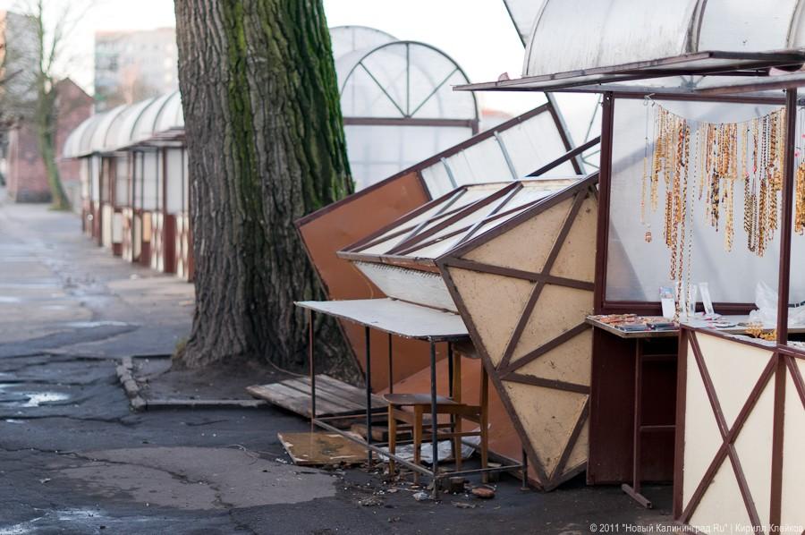 «А поутру они проснулись»: фоторепортаж «Нового Калининграда.Ru»