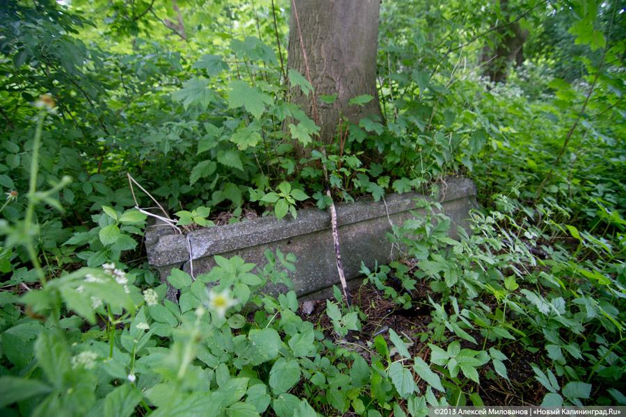 Часы и вороны: кирха в поселке Ушаково приходит в упадок