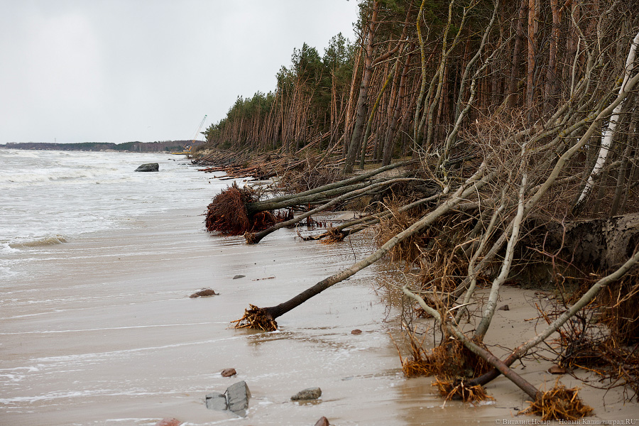 Кто здесь царь: последствия штормов на побережье (фото)