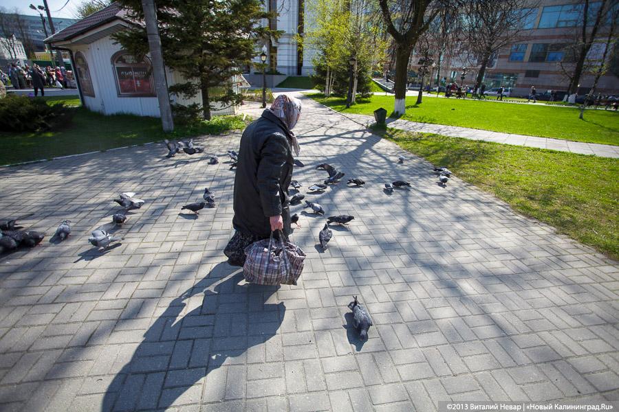 «Святись, кулич»: освящение пасхальной трапезы у собора Христа Спасителя
