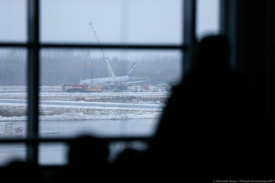 Россиян предупредили об отмене более 1 тысячи авиарейсов в США