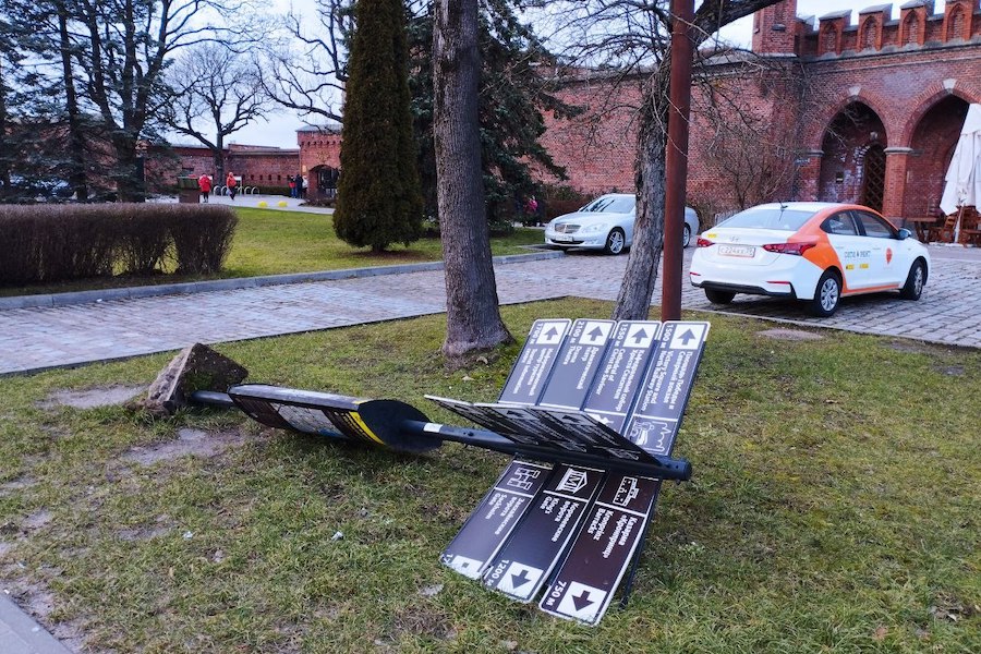 Столбы, деревья, указатели: последствия шторма в Калининграде (фото)