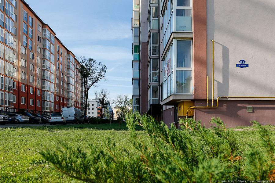 Фото — Виталий Невар, «Новый Калининград.Ru»