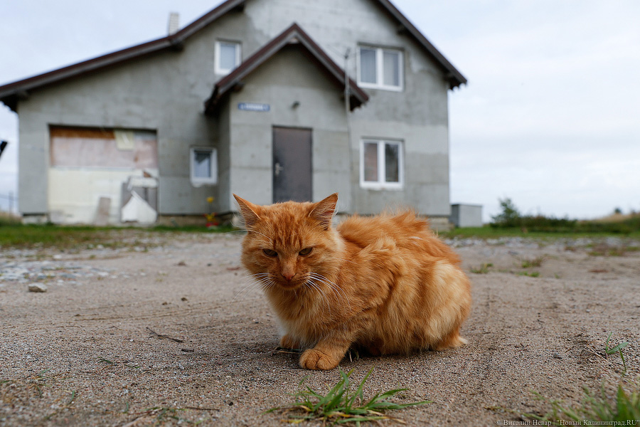 «Мы теперь бомжи»: почему жители Малого Лугового готовы на крайние меры