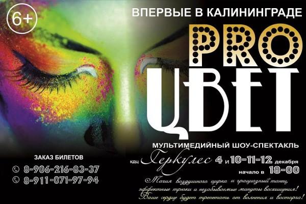Впервые в Калининграде пройдет мультимедийное шоу-спектакль «Pro цвет»