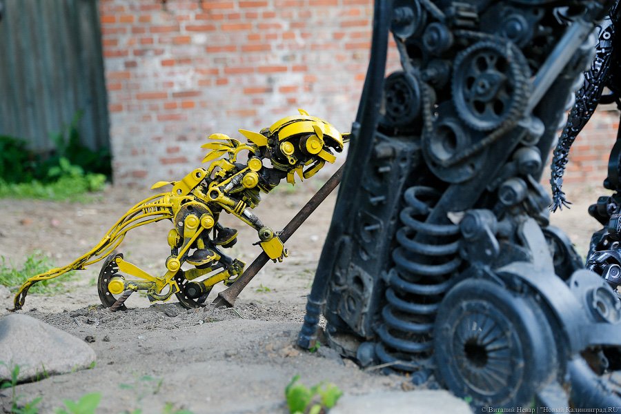 Смотришь на деталь и видишь хвост: житель Гвардейска создаёт трансформеров