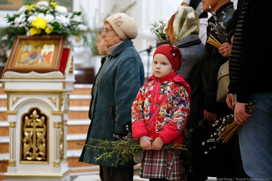 «Цветики да вербочки»: как прошло богослужение в Вербное воскресенье (фото)