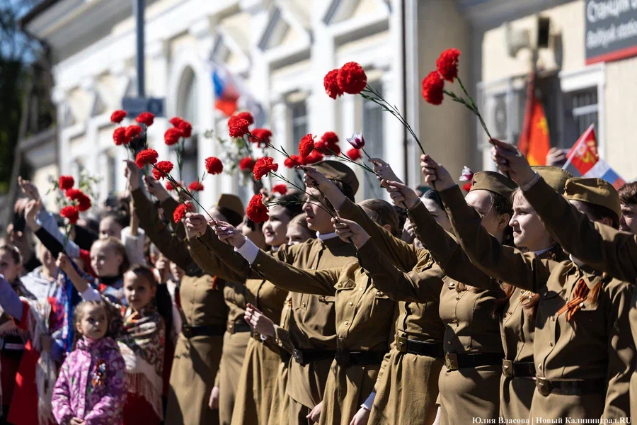Пособия многодетным, безнадёжные долги, параллельный импорт: нововведения мая