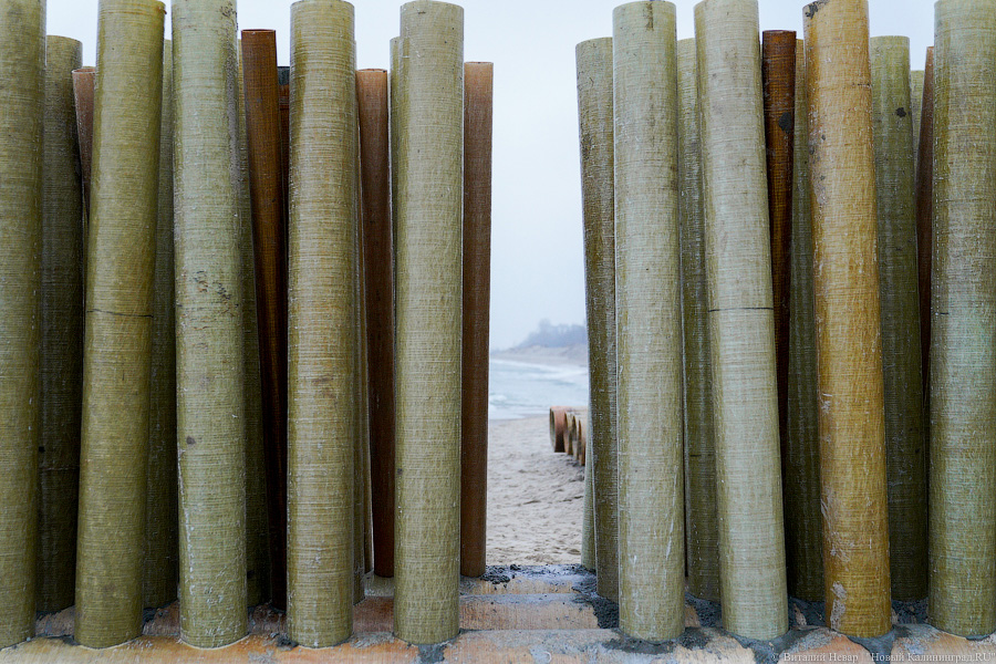 Виталий Невар / Новый Калининград