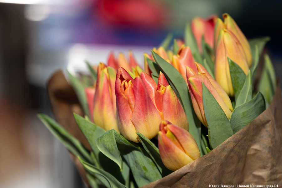 Калининградки рассказали, что считают необычным подарком на 8 Марта