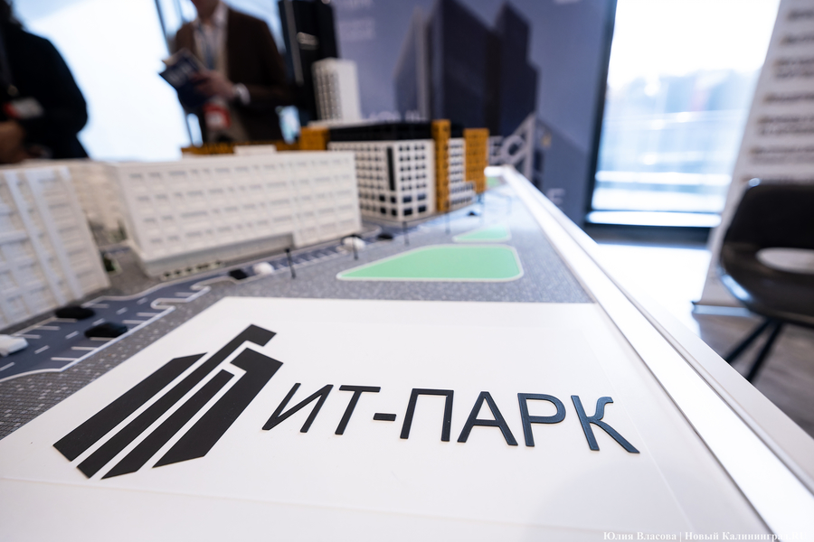 «Как победить тлен»: в Светлогорске открылся Международный балтийский бизнес-форум