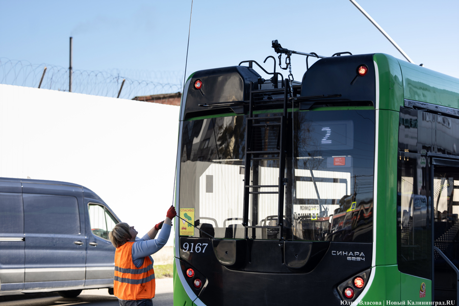 Горвласти рассказали, на какие маршруты пустят новые троллейбусы 