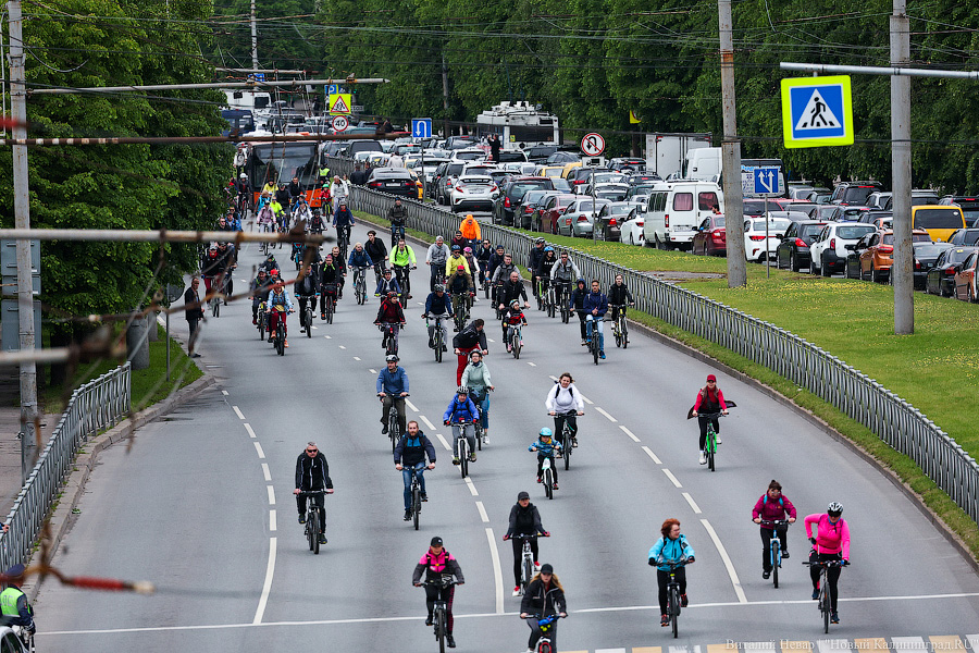 Лыжи, велики, унициклы: как прошёл велопарад в Калининграде (фото)