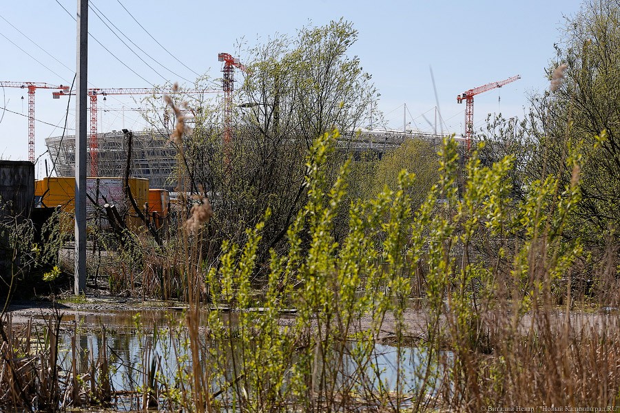 В Калининграде затопило гаражное общество на Острове около стадиона (фото)