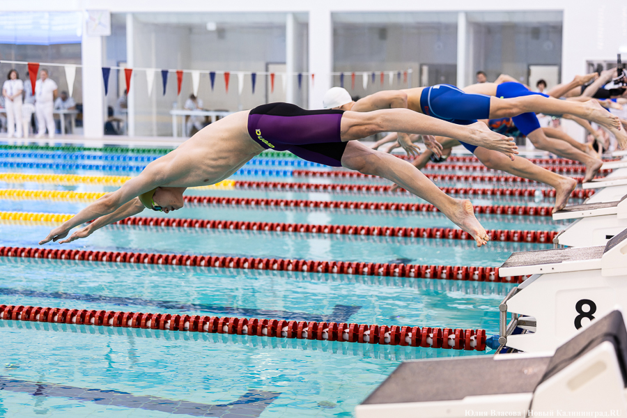 Легкой воды: как Калининград впервые принимал Кубок России по плаванию (фото)
