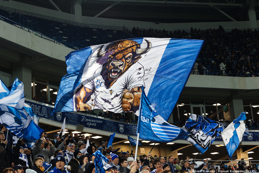 Ничья почти равна победе: как «Балтика» пободалась с «Краснодаром» (фото)