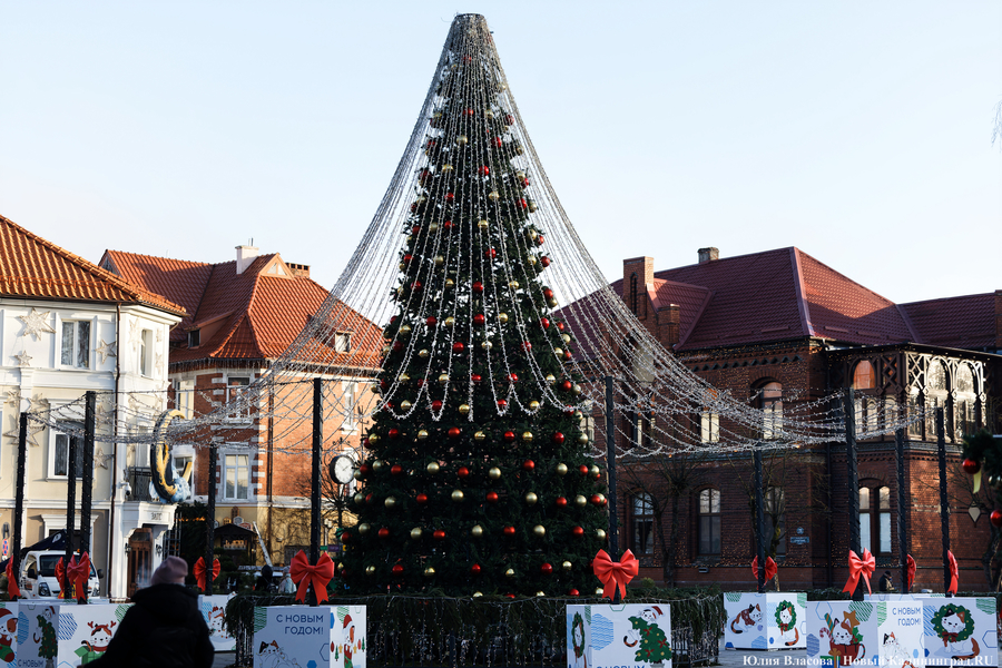 В царстве огненной лошади: как украсили Зеленоградск к Новому году (фото)