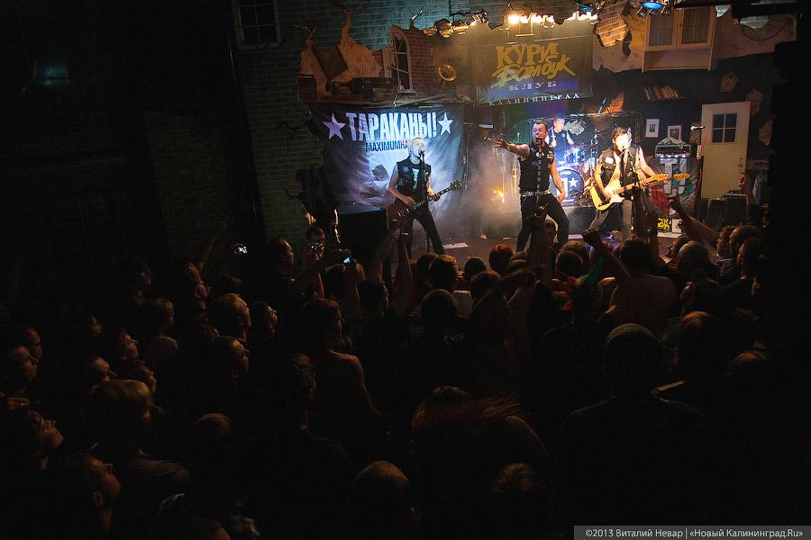 Без инсектицидов: в клубе «Кури Бамбук» дала концерт группа «Тараканы!»