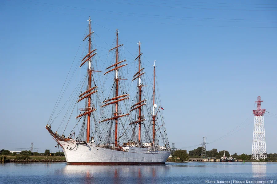 В Калининграде ищут подрядчика для обеспечения стоянки судов «Крузенштерн» и «Седов»