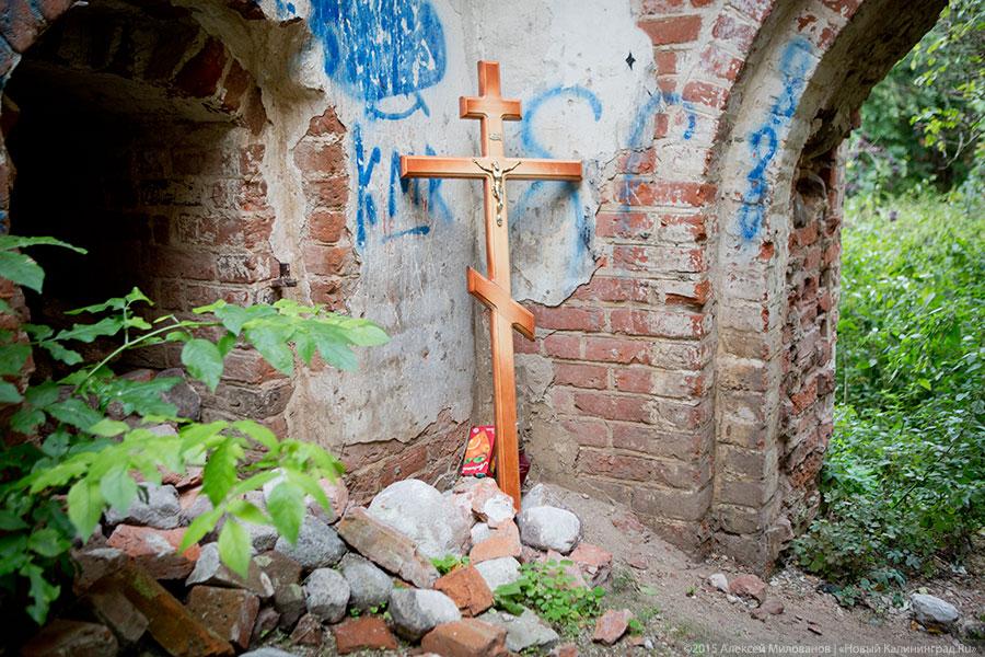 Исчезая в зелени: руины кирхи XIV века в поселке Яблоневка Гурьевского района