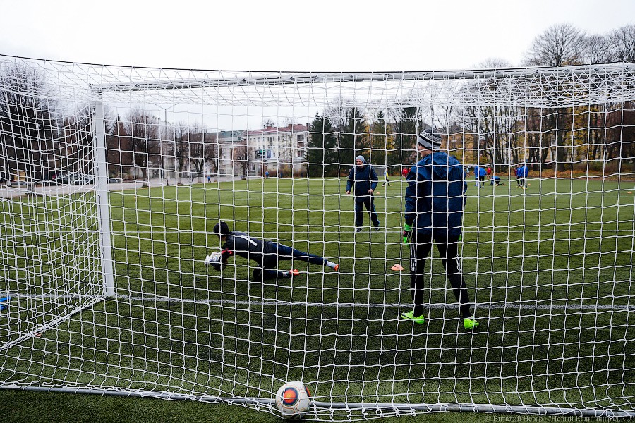 Экс-директора лицея № 49 заподозрили в мошенничестве