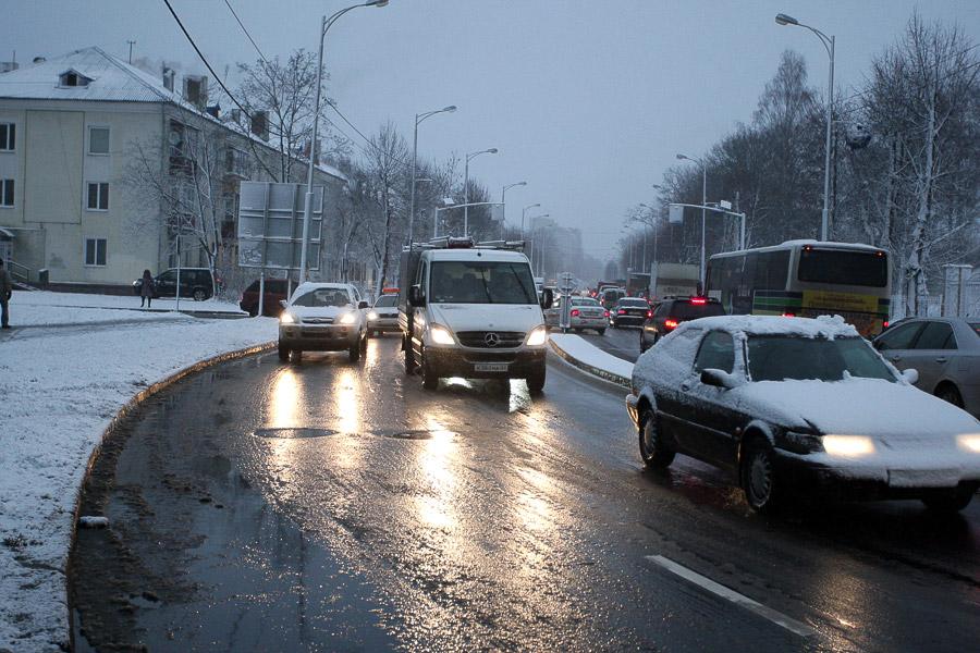 В Калининграде упавшее во время урагана дерево заблокировало движение по ул. Невского (фото)  