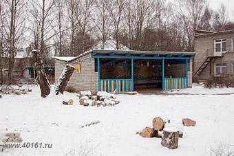 Главную елку Советска срубили в детском саду