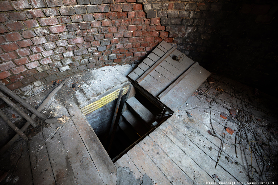 «Начало новой жизни»: в Астрономическом бастионе прошёл субботник (фото)