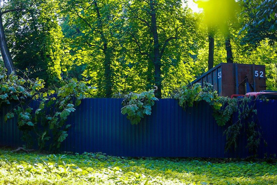 Все законно: власти Калининграда проиграли суд за сквер на улице Горького у прокуратуры