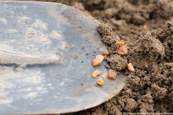 Полиция после погони на джипах задержала 50 нелегалов-копателей янтаря