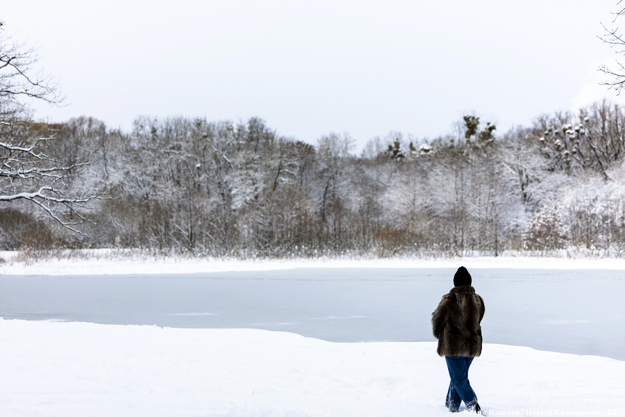 После двадцати лет ожидания: как Калининград встретил Новый год со снегом (фото)