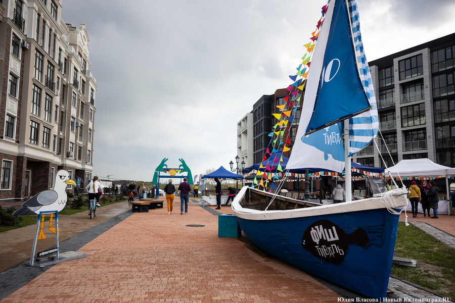 И рыба, и мясо: в Зеленоградске открылся гастрономический «Фиштиваль» (фото)