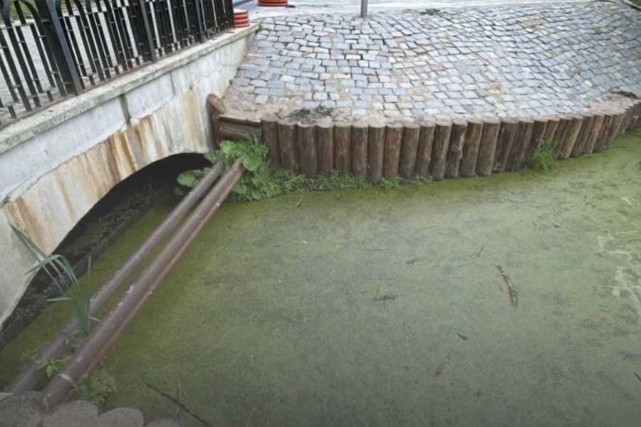 Природоохранная прокуратура проводит проверку в связи с гибелью рыбы в Нижнем озере