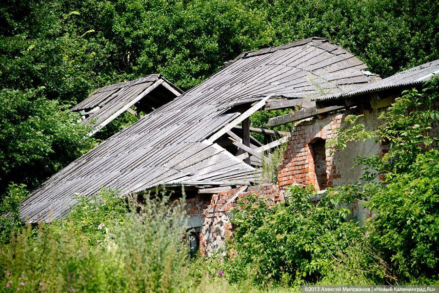 Остатки роскоши прусского барокко: усадьба в Рощино в проекте «Пустые дома»