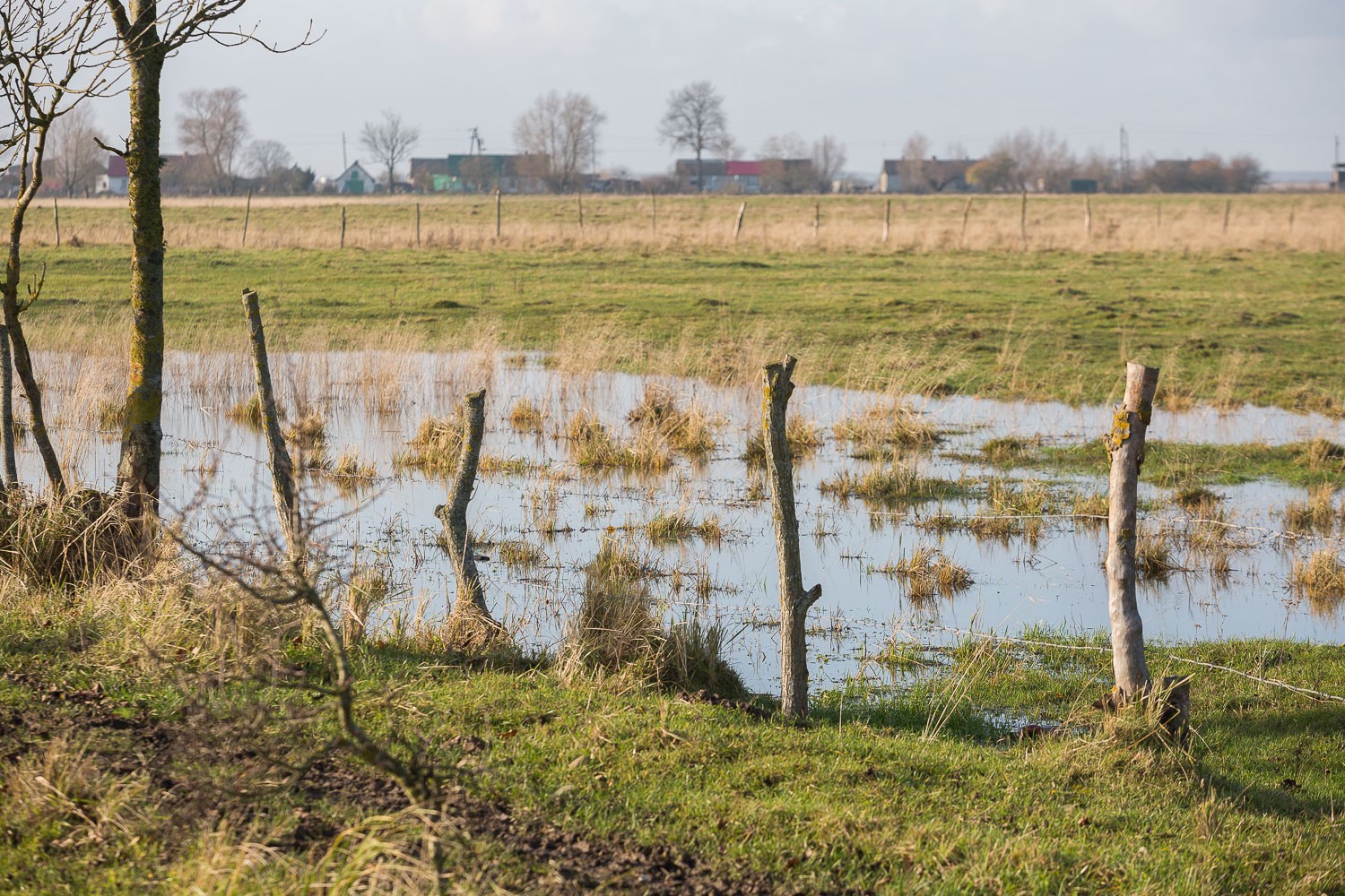 Губаров: небольшие калининградские фермы в прошлом году потеряли до 90% урожая