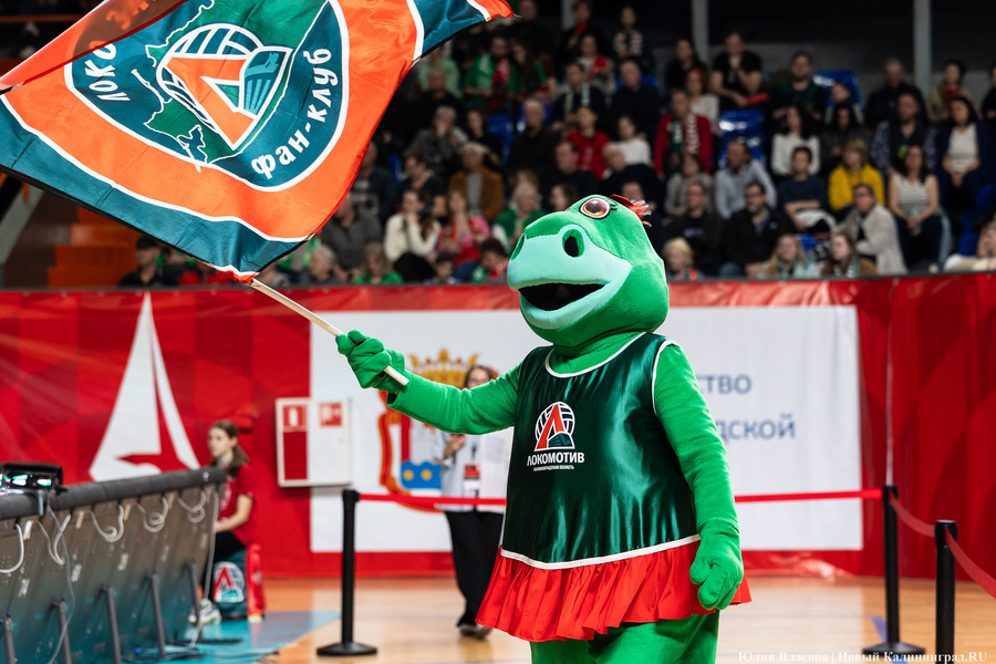 Фото: Юлия Власова / Новый Калининград