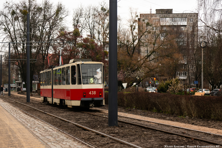 50 оттенков коричневого: как выглядит после ремонта Фестивальная аллея (фото)