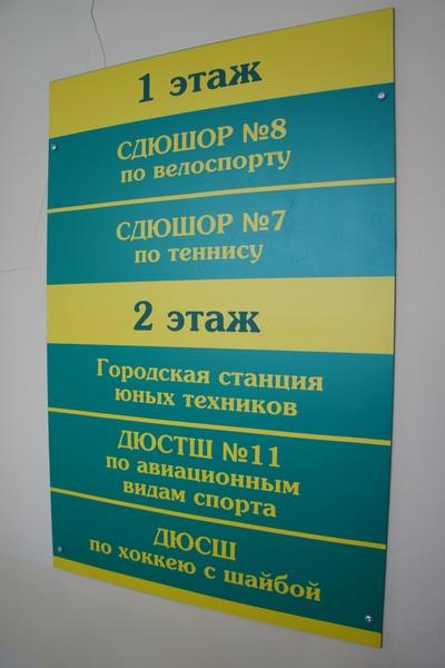 Стадион «Красная звезда»: особенности российского строительства и футбол на воде