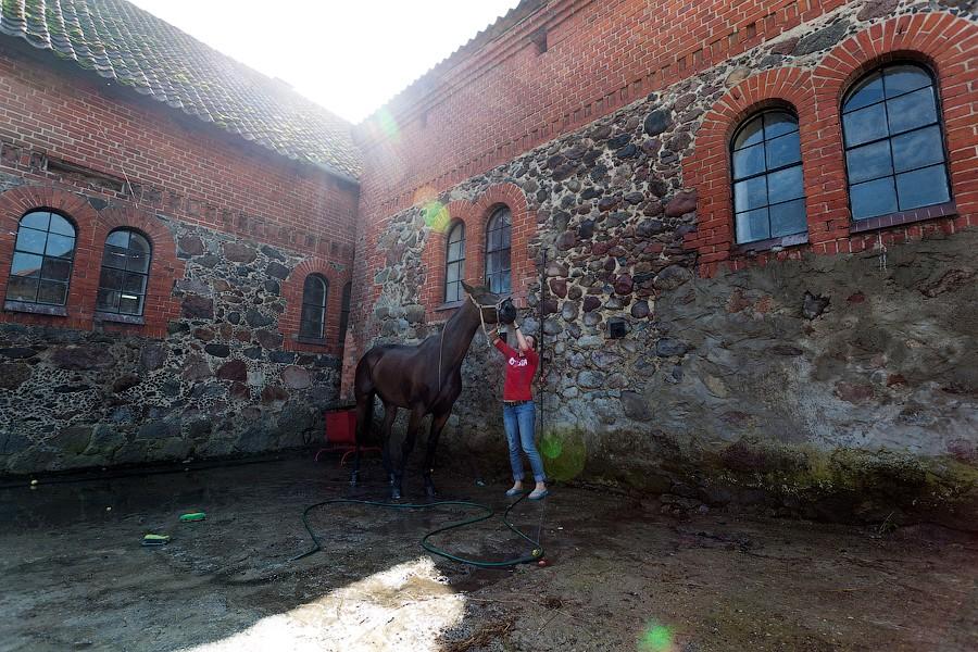 «Шляпки, лошади, конкур»: фоторепортаж «Нового Калининграда.Ru»