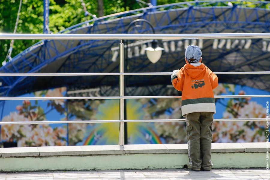 "День защиты детей": фоторепортаж "Нового Калининграда.Ru"