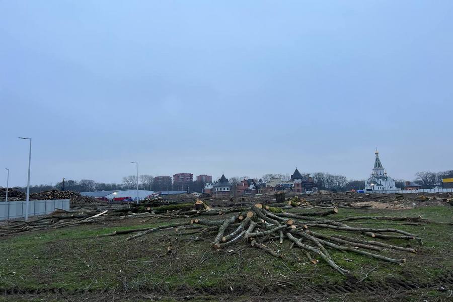 Штабеля и пустырь: на ул. Невского закончилась вырубка для будущего кампуса БФУ (фото)