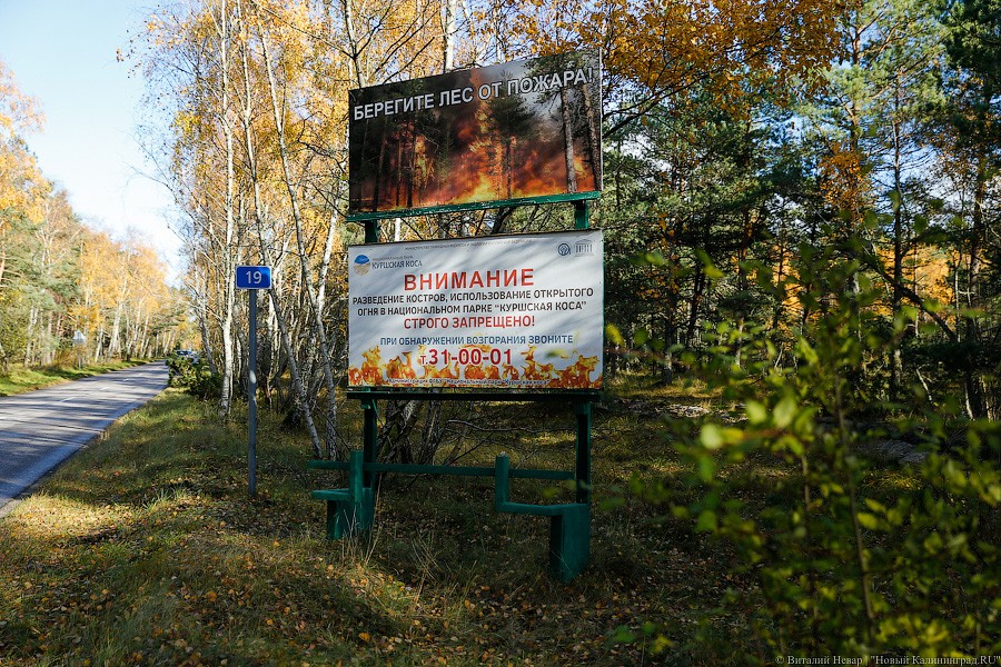 Виталий Невар / Новый Калининград