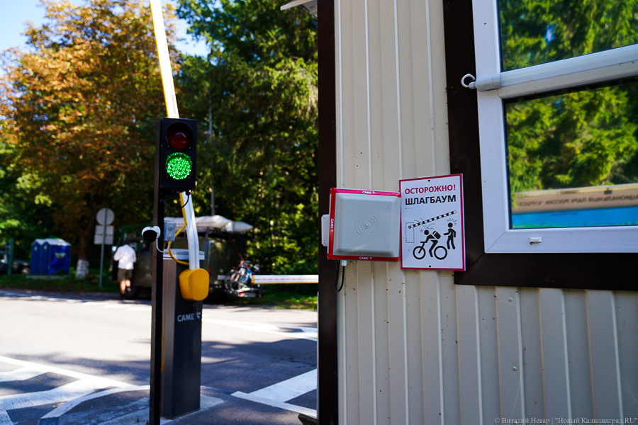 Определен подрядчик для строительства велодорожки за 400 млн на Куршской косе