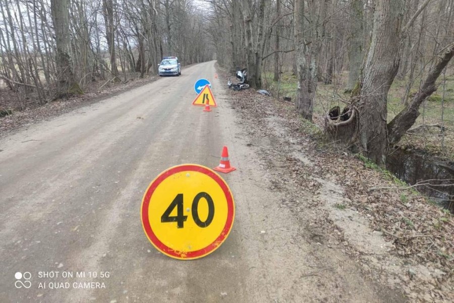 В Полесском округе водитель скутера врезался в дерево и попал в больницу